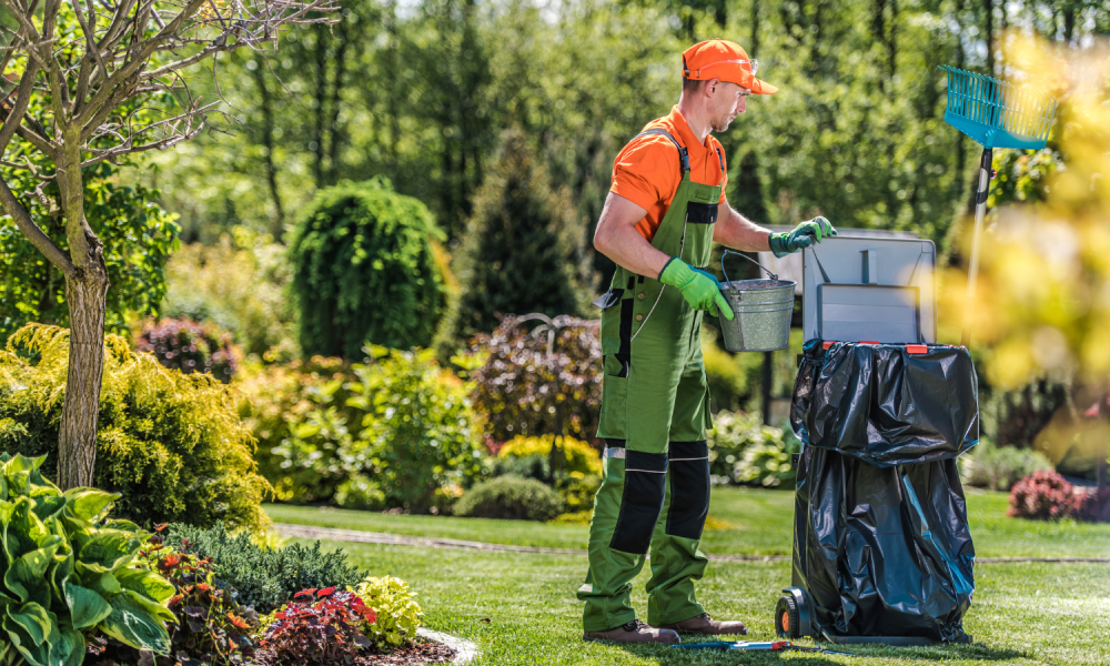 Cleaning and Gardening