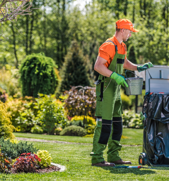 Cleaning and Gardening